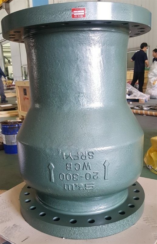 Nozzle check valve 20 inch #300
