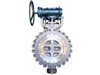 High Performance Valve